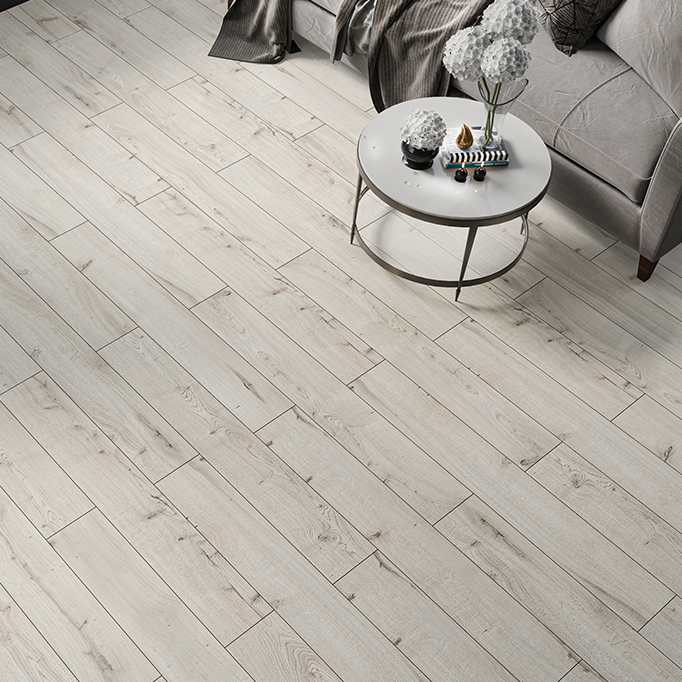 YOGA COLLECTION PREMIUMAsana