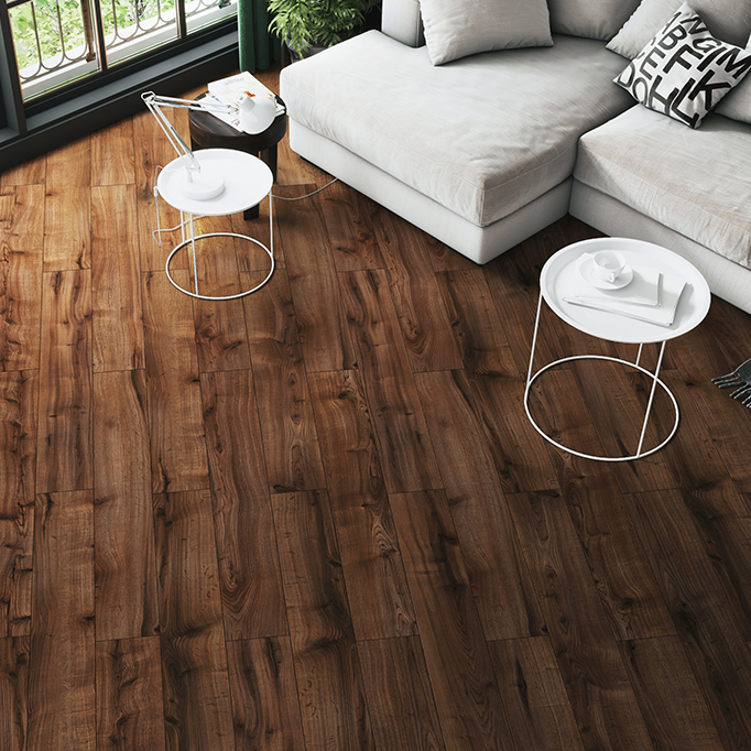 YOGA COLLECTION PREMIUMPrana