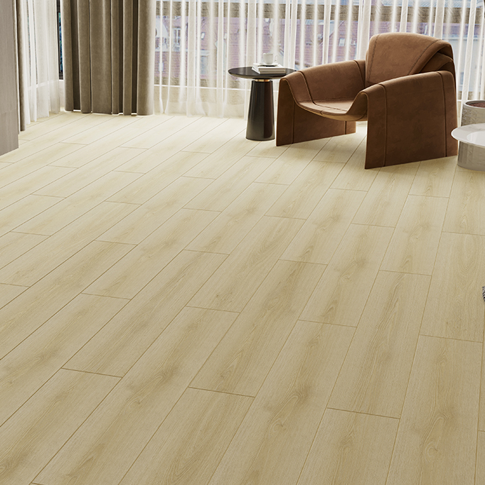 PERA COLLECTIONOrkide