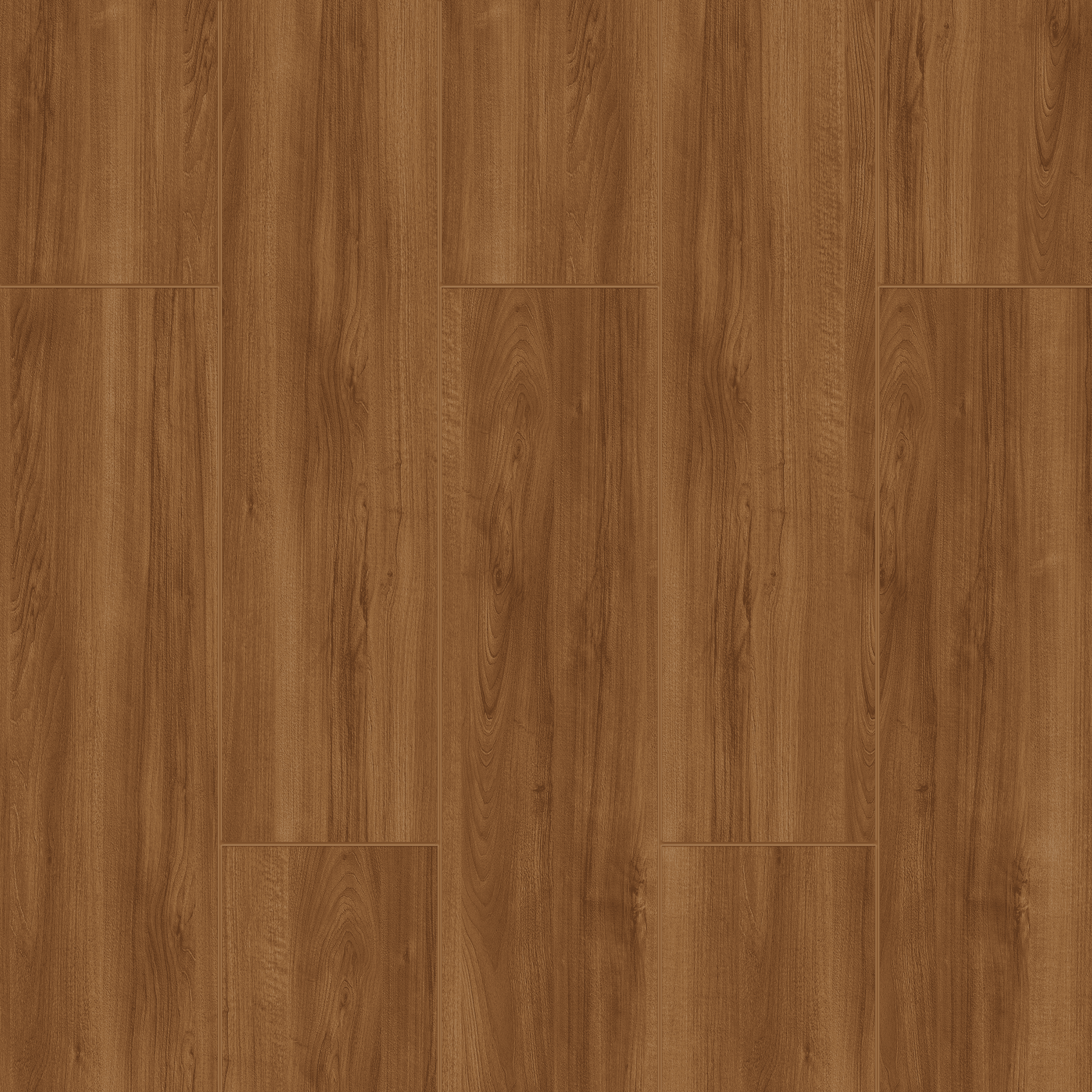 Amerikan Ceviz Ortam